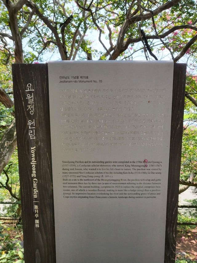 정원한가득 배롱나무가 피어있는 요월정원림