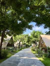台中 海邊豪華露營⛺️