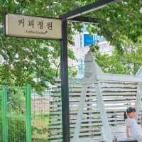 장미의 계절에는 꼭 가보셔요 강원도 삼척 [삼척 장미공원]