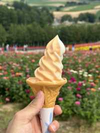 알록달록 다채로운 빛깔의 꽃의 향연,💐홋카이도 사계채의 언덕 여행💖