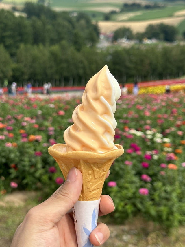 알록달록 다채로운 빛깔의 꽃의 향연,💐홋카이도 사계채의 언덕 여행💖