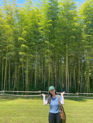 Nature Trip Filled with Bamboo Forests: 'Damyang, Jeollanam-do'