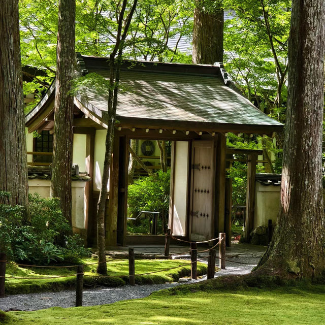 【大阪景點】西之丸庭園：雨中迷人景色～享受日本庭院風情