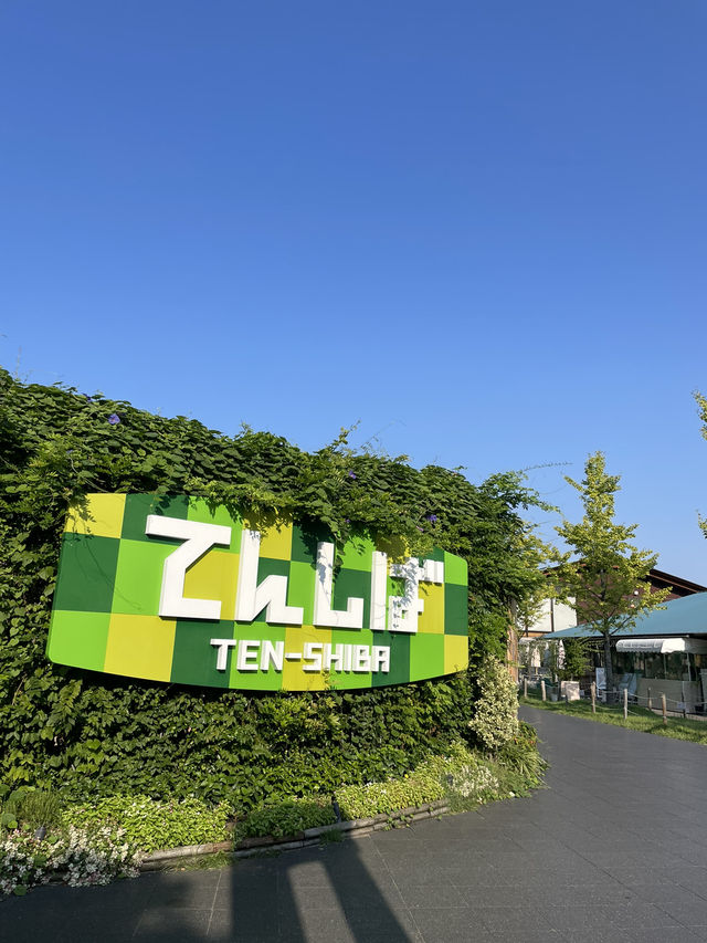【大阪府:通天閣】観光の幅が大きく広がるレンタサイクル！