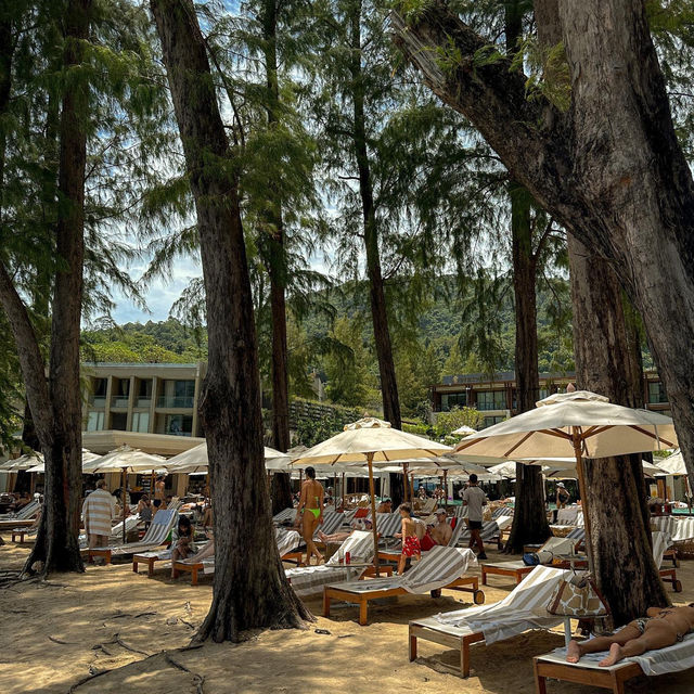 Pine Beach Bar