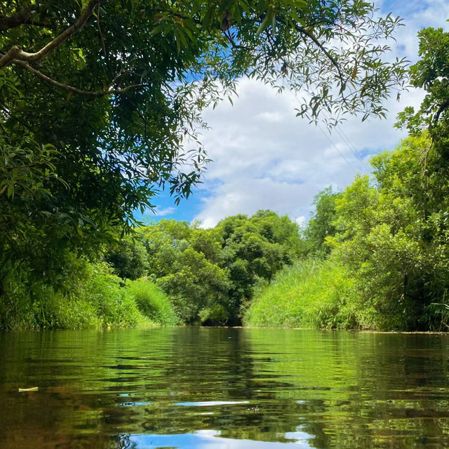 綾廣之滝🌱平靜時光