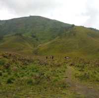 GRASSLANDS OF SAVANNAH HILLS 