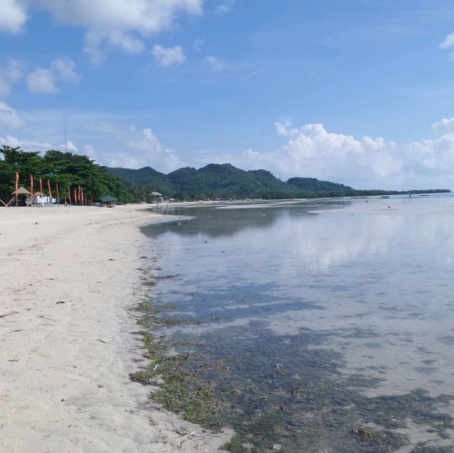♡菲律賓~薄荷島 Bohol Island
