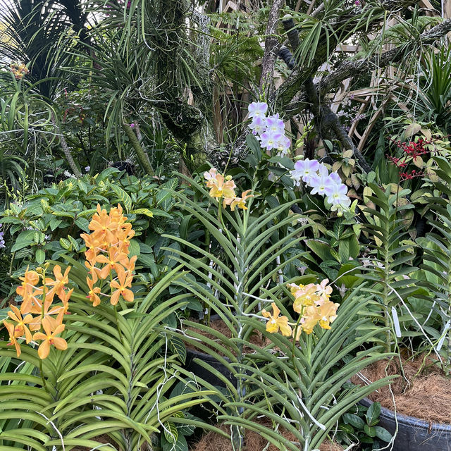 Take a breath and enjoy the flowers