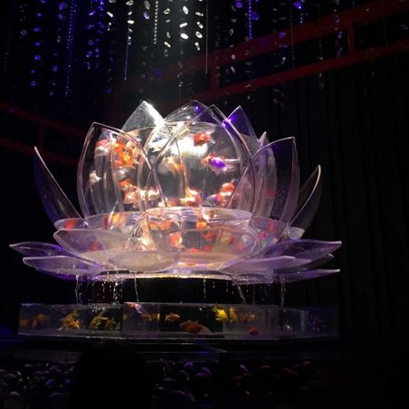 深圳新展預告·夢幻金魚藝術展🐠深圳特展