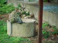 ถ้ำสาริกา จ.ราชบุรี