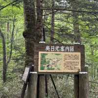 奧日光 戰場之原 徒步