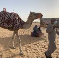 From Sand to Sunset: Dubai Desert Safari Goals