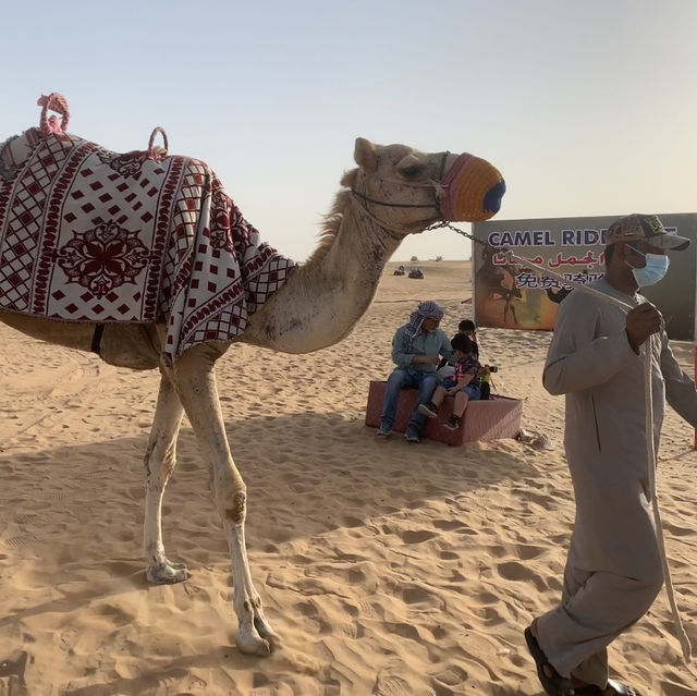 From Sand to Sunset: Dubai Desert Safari Goals