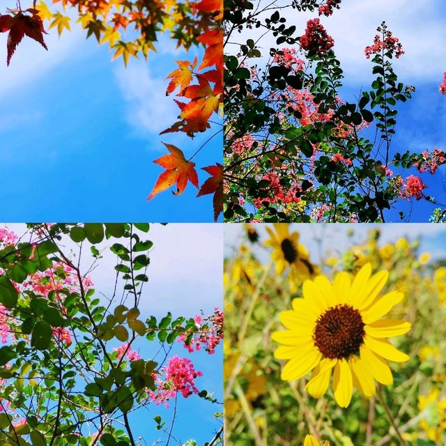 大阪萬博紀念公園