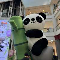 75隻熊貓喜迎國慶🐼