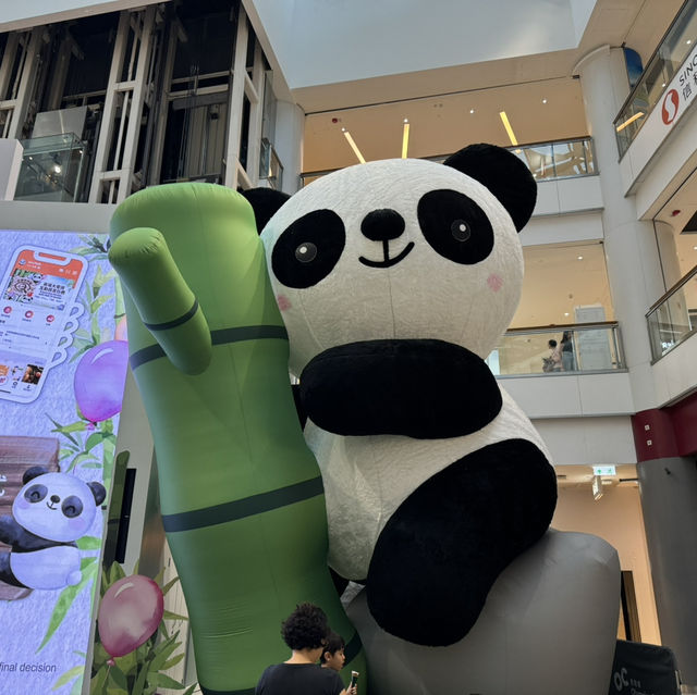 75隻熊貓喜迎國慶🐼