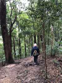 Discover Lush Trails and Hidden Beaches at Tanjung Tuan 🇲🇾