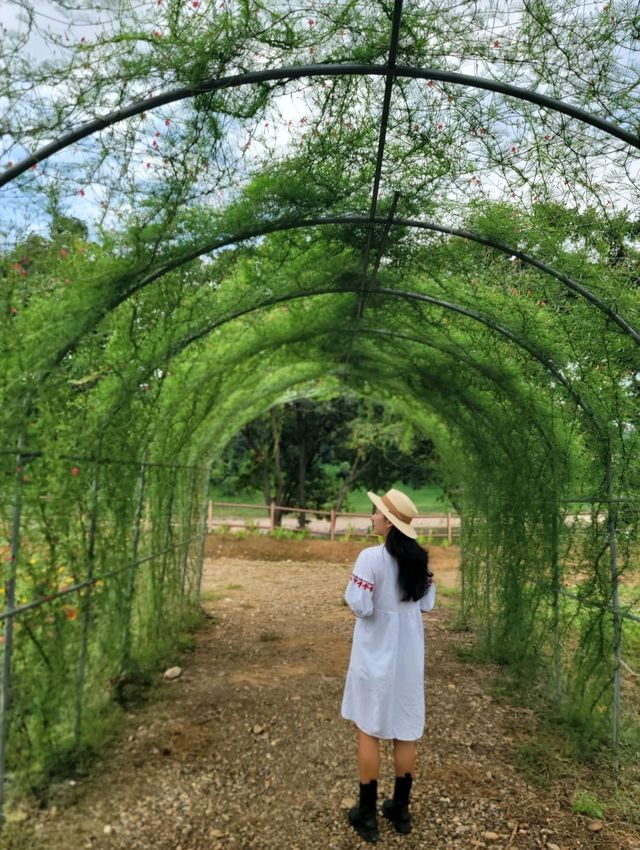 낮에 가도 예쁜 연천 당포성💜