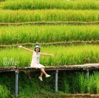 นาขั้นบันได บ้านป่างเปียง เชียงใหม่