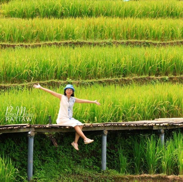นาขั้นบันได บ้านป่างเปียง เชียงใหม่