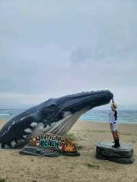 해변레일바이크를 탈수 있는 원평해수욕장🩵
