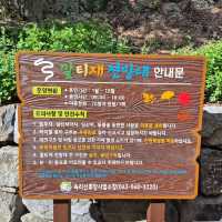 🤲꼬불꼬불 울긋불긋 가을여행 말티재 전망대🤲