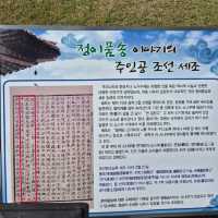 👈세조가 가지를 들어올린 전설이 남은 명품나무 속리 정이품송👈