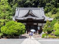 【静岡県】伊豆最古の温泉地にある1200年の歴史を紡ぐお寺『修禅寺』