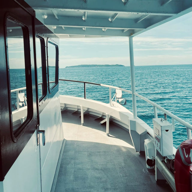  八丈島：悠閒小島的慢生活🌴🌊