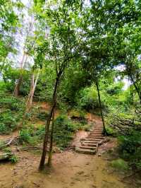 Hiking Trail from Penang Botanic Gardens