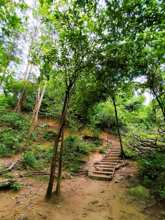 Hiking Trail from Penang Botanic Gardens