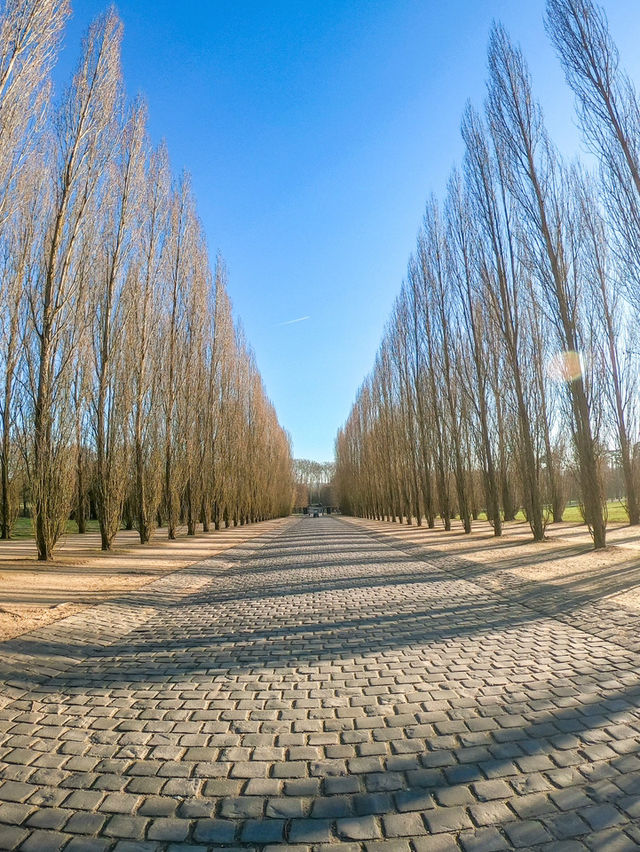 【パリ🇫🇷】均一のとれた庭園が素敵すぎる🤍