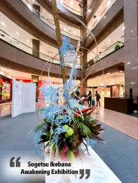 Stunning Sogetsu Ikebana Awakening Exhibition 