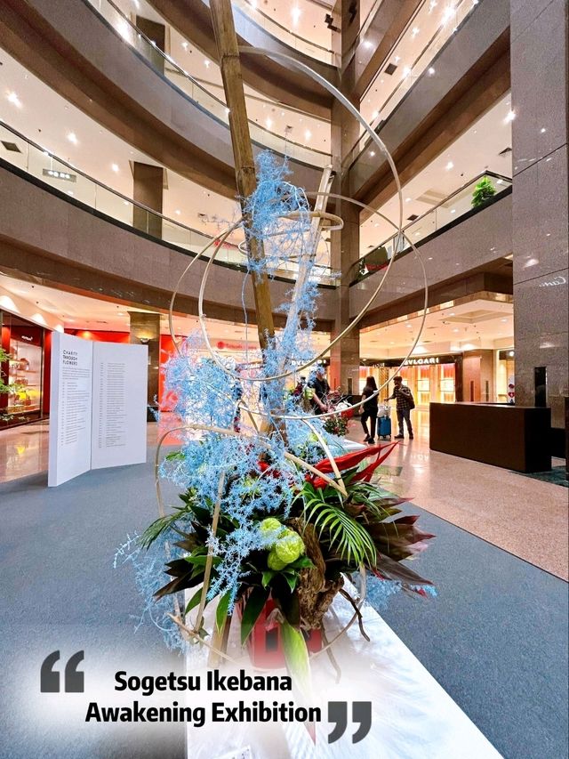 Stunning Sogetsu Ikebana Awakening Exhibition 
