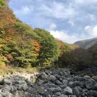 Autumn Awaits: Discover Eorimok Valley in Full Color 🍁🇰🇷