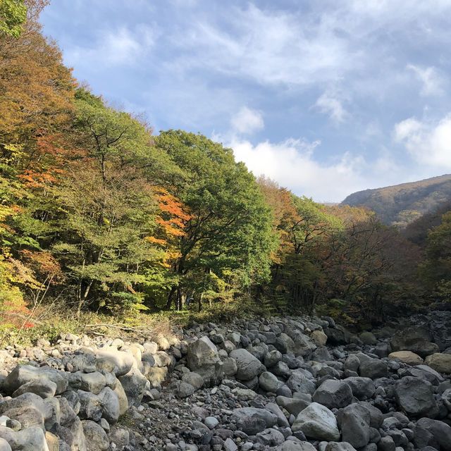 Autumn Awaits: Discover Eorimok Valley in Full Color 🍁🇰🇷