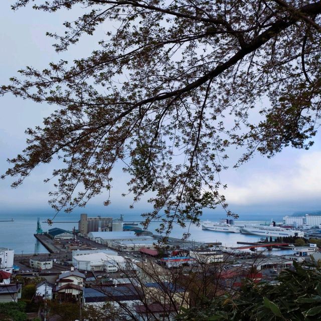 小樽 水天宮
