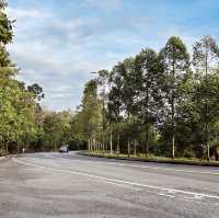"Discover Nature with a Scenic Hike at Bukit Kepayang, Seremban"