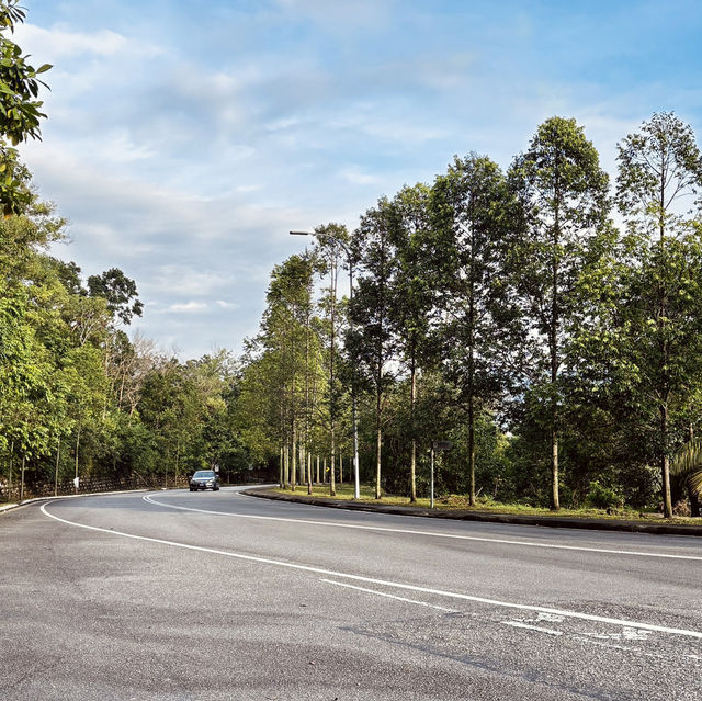 "Discover Nature with a Scenic Hike at Bukit Kepayang, Seremban"
