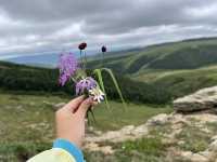 沙漠、草原與火山的壯麗旅程 🌾🏜️