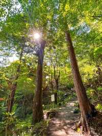 【岐阜】絶景！中津川の不動の滝で森林浴✨