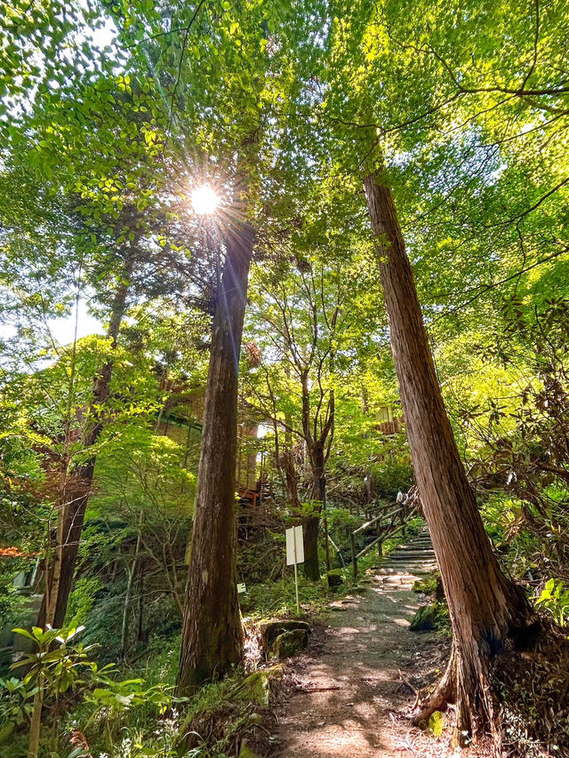 【岐阜】絶景！中津川の不動の滝で森林浴✨