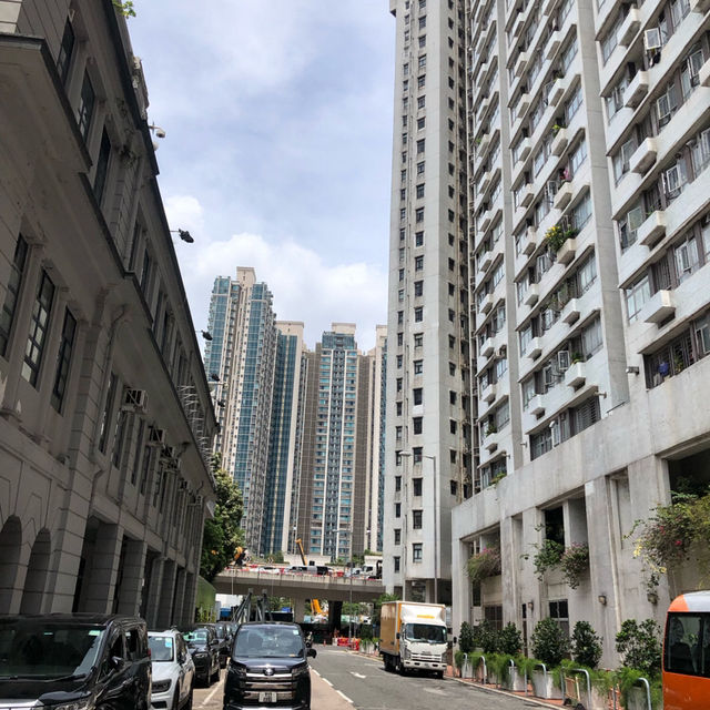 🇭🇰Tsz Shan Monastery & Wong Tai Sin temple🇭🇰