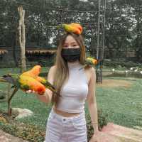 Bonanza Khaoyai สวนสัตว์สุดน่ารัก