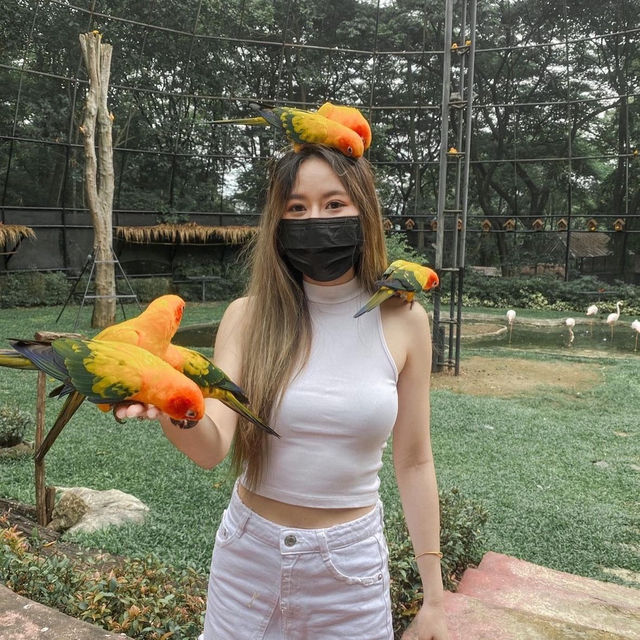 Bonanza Khaoyai สวนสัตว์สุดน่ารัก
