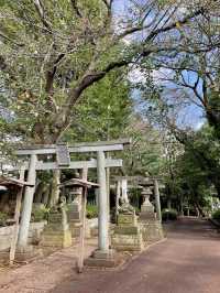【千葉県】参道が特徴的な神社
