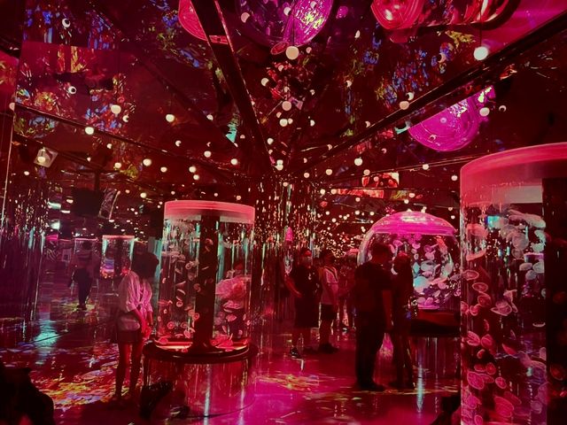 Xpark 水族館：最潮水族館景點
