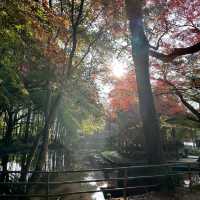 秋の世界遺産 中尊寺