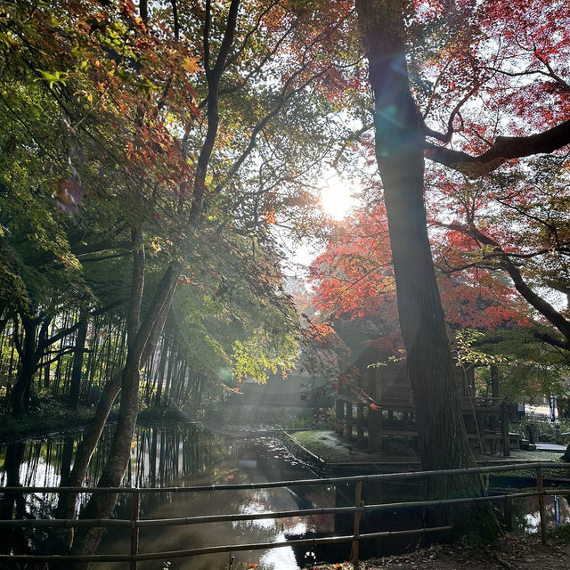 秋の世界遺産 中尊寺